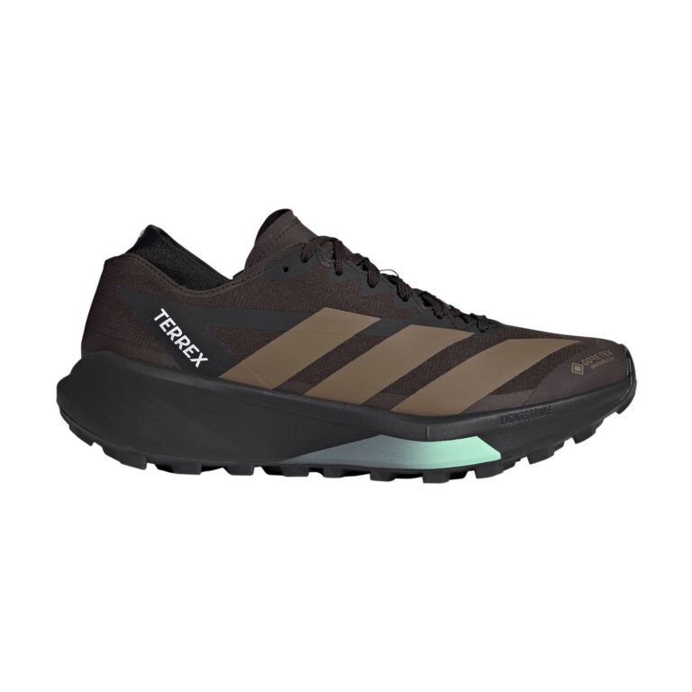 adidas adidas Terrex Agravic GTX 2